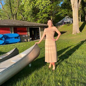 Aritzia The Musette Dress